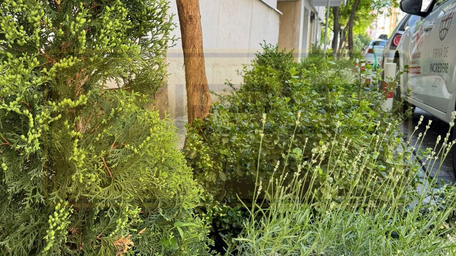 Apartament 2 camere decomandat Nicolina-Hlincea - Poză 20