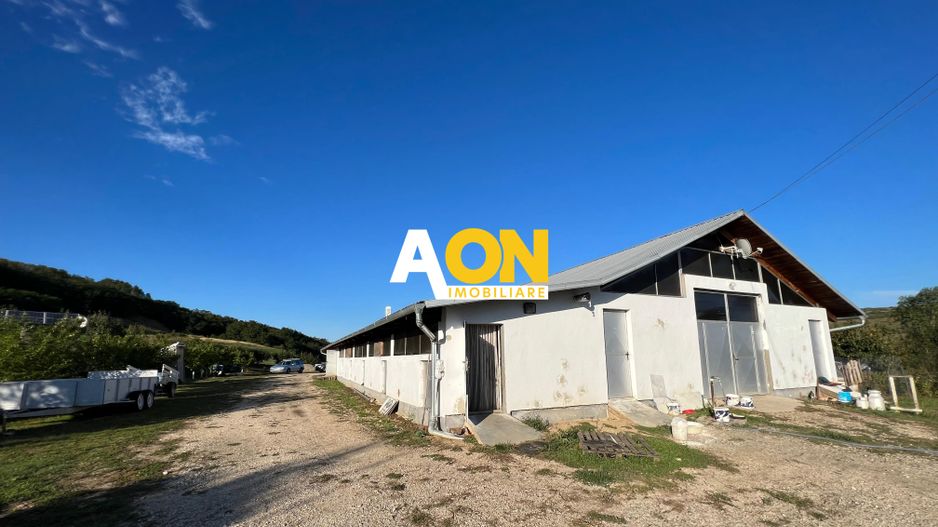 Ferma de vanzare cu 550MP utili si 27.500MP teren la asfalt - Poză 6