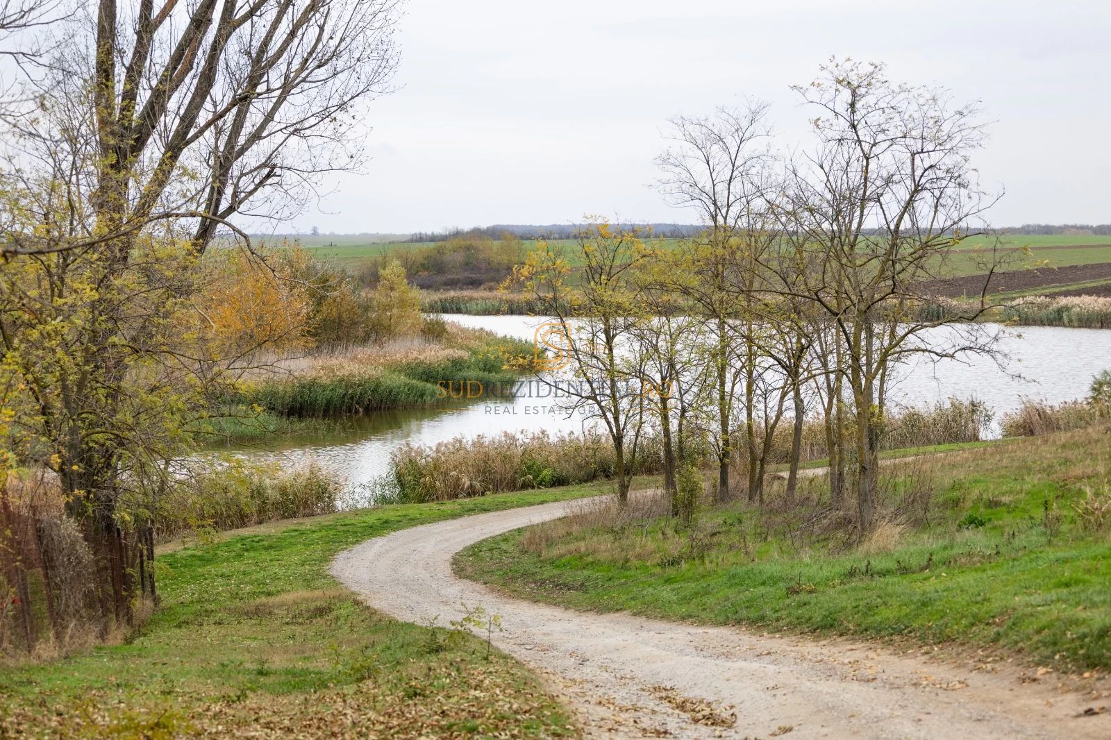 Teren 84.400 mp, ideal dezvoltare rezidentiala, PUZ aprobat, Frumusani - Poză 2