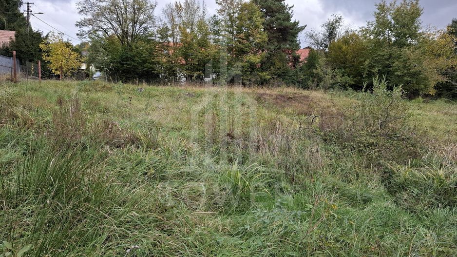 Teren intravilan cu Puz si priveliște deosebită, spre Cetatea Cisnădioara - Poză 7