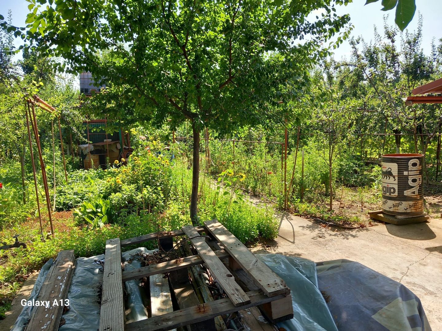 Ag EUROPA vinde teren BERCU ROSU toate utilitatile și casa vacanta. - Poză 3