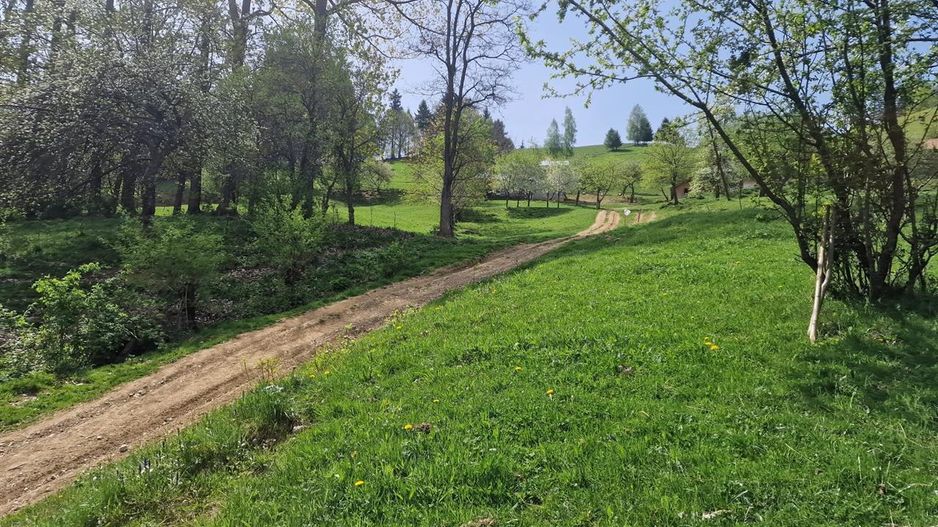Langa emblematicul Castelul Bran, in areal colinar, 5.700mp intravilan - Poză 6