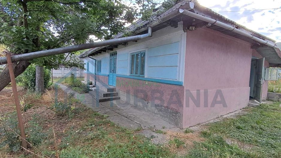 Domeniu de 7.500 mp cu casă bătrânească, anexe, livadă și iaz în Stolniceni-Prăjescu, Iași - Poză 1