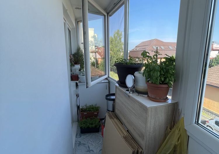 Apartament 3 camere | Grigore Ureche - Poză 3