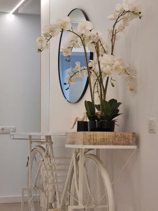 Cortina North, Particular - Poză 3