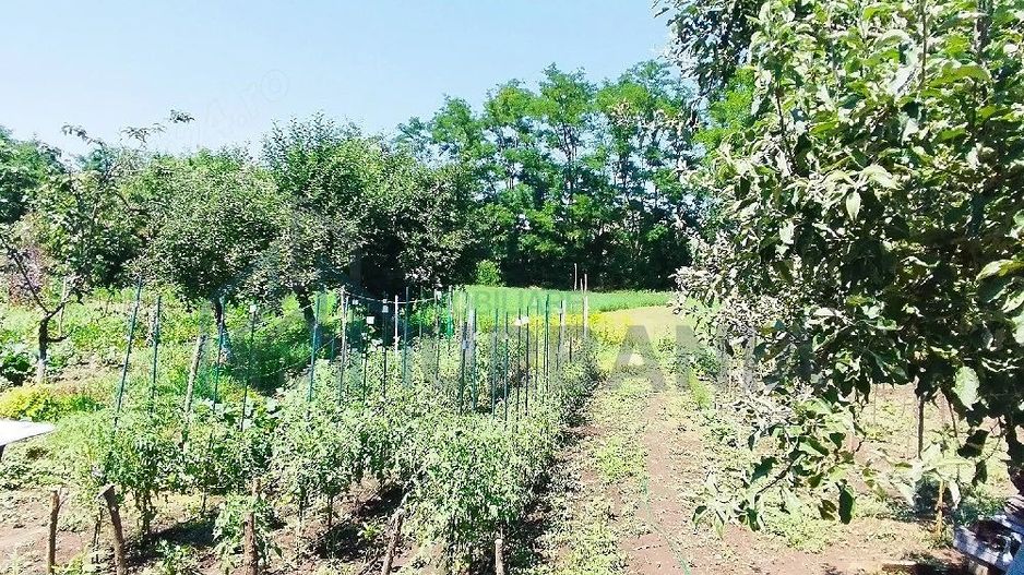 Casă de vânzare, zona Al. I. Cuza, Iași - Poză 6