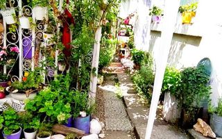 Casa la curte 3 camere, teren total 250 mp, zona Mihai Bravu - Poză 4