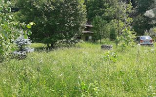 Casă individuală 6 camere de vânzare Brăduleț Argeș Complex Cabane - Poză 31