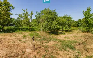 Casă cu 4 camere în Cruceni - Poză 12