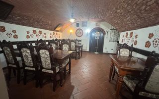 De inchiriat Spatii Ultracentrale in Satu Mare-ZONA 0! - Poză 8