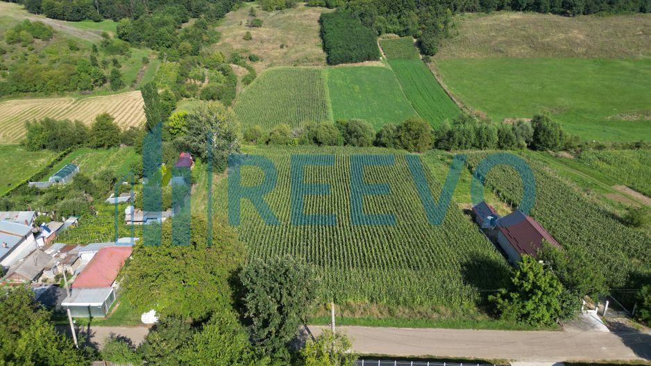 Teren intravilan de vânzare, Sat Bogdănști, Com. Traian - Poză 6