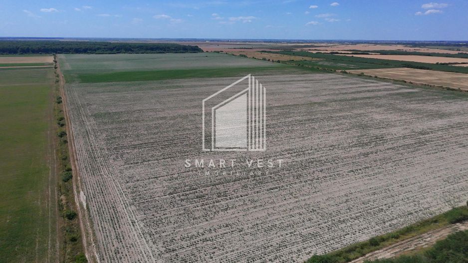 Teren agricol 96.500 mp | Zona Aeroportul Satu Mare - Poză 3