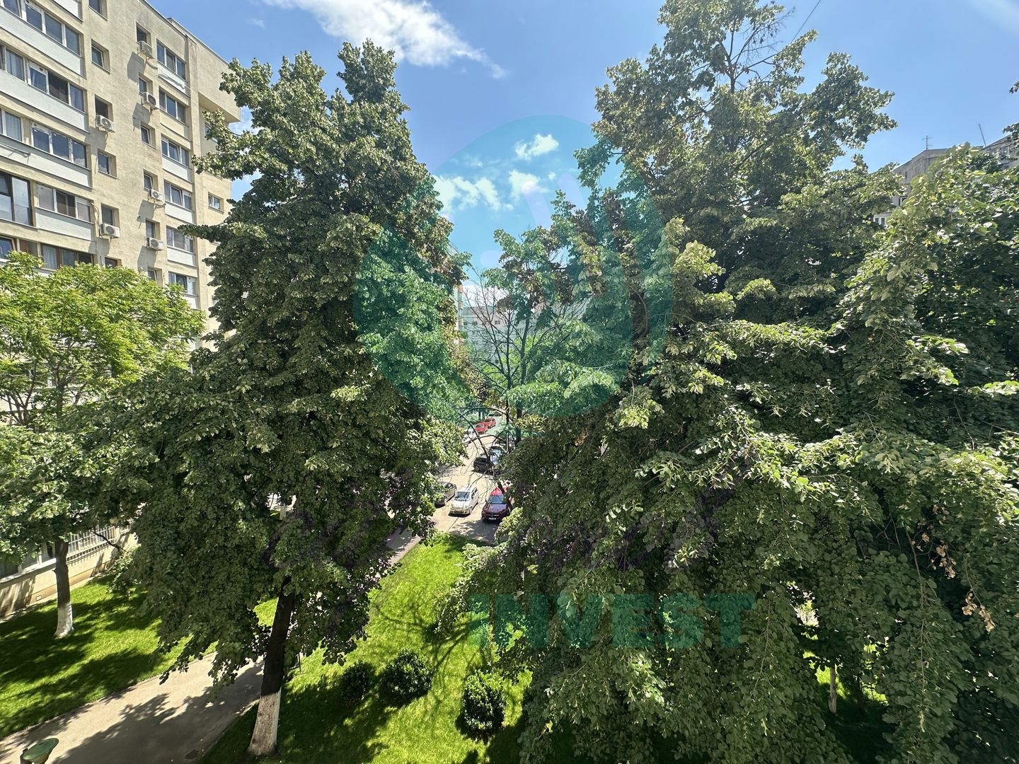 ACASA - unde infloresc teii - Poză 13