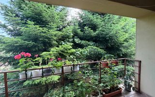 VANZARE VILA 280 MP UTILI | TEREN 900 MP | 5 CAMERE | VOLUNTARI - Poză 15