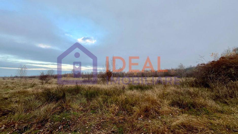 Teren extravilan 6.500 mp – două căi de acces, Cârțișoara - Poză 6