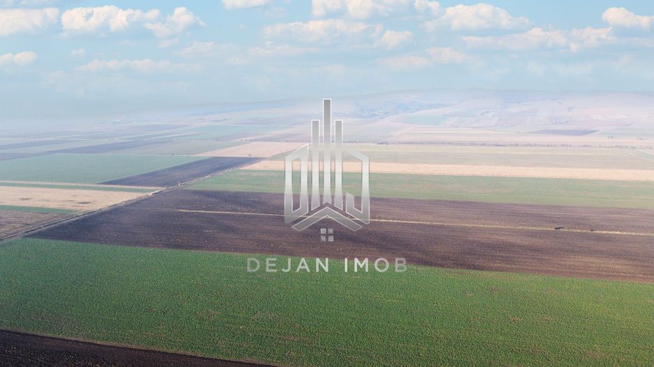 5 Ha | Teren extravilan | Langa Fabrica Reci - Poză 3