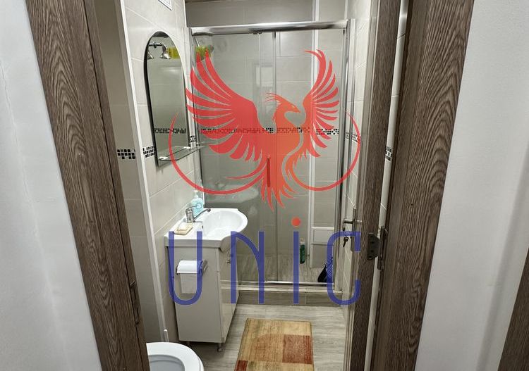 Garsoniera parter - zona Lapus - Poză 7