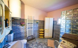 EXCLUSIVITATE – Comision 0% | Casa spatioasa | Santana - Arad - Poză 10