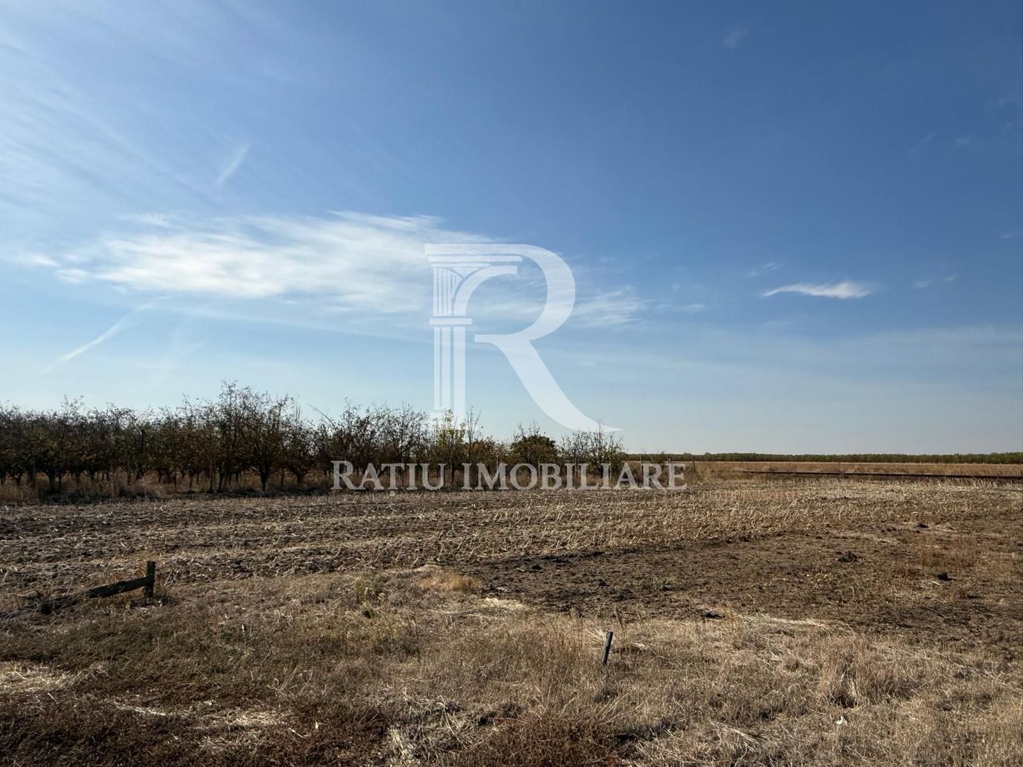 Teren intravilan agricol | 7029 mp | Satu Nou | Bihor - Poză 14