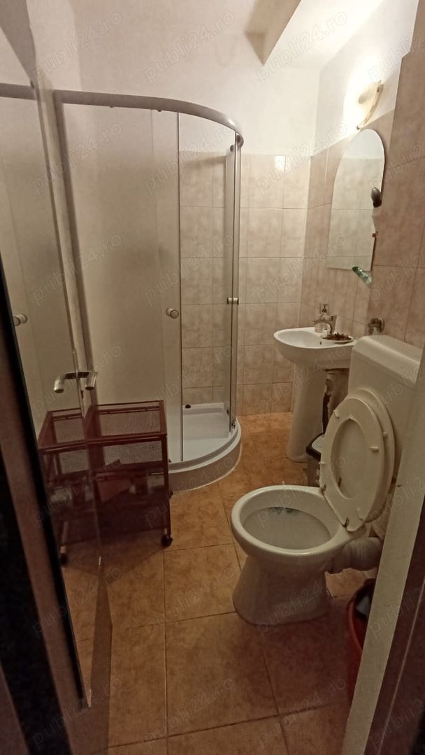 Apartament 1 camera Dristor Liviu Rebreanu - Poză 7