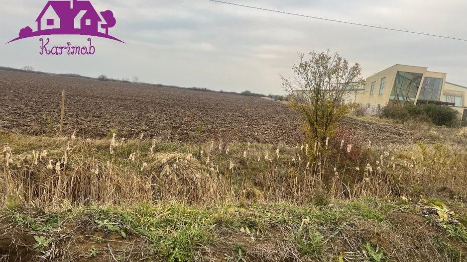 Teren pentru hale soseaua Nojorid Les - Poză 5