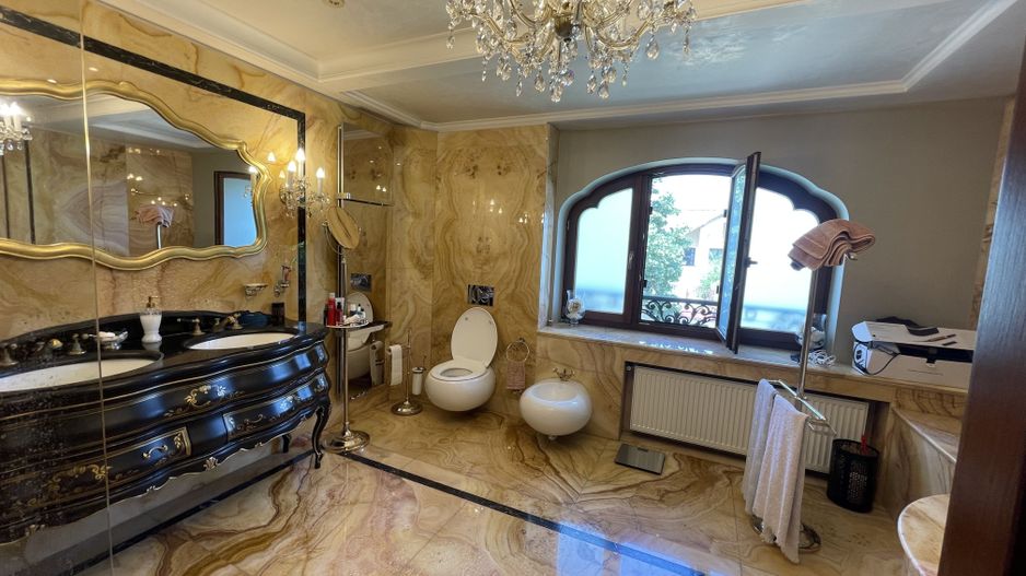 Domeniu vila Balotesti 4000 mp teren 60 m deschidere lac - Poză 30