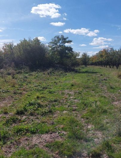 Teren de vanzare Smeura strada Prunilor - Poză 3