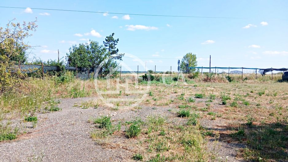 Teren intravilan de inchiriat in Nojorid, Bihor - Poză 3