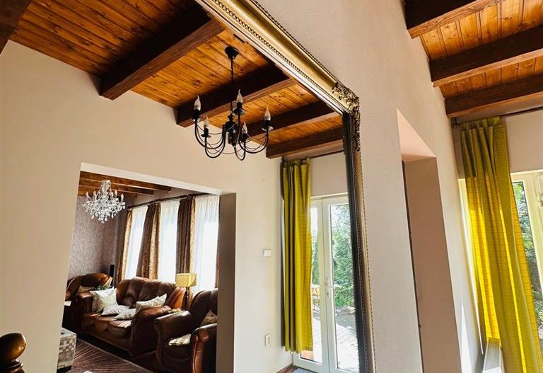Vila remarcabila+casa boiereasca,in pretios areal de 2.100 mp, Santana de Mures - Poză 10