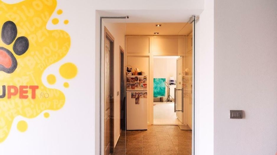 SPAȚIU VERSATIL DE VÂNZARE /  211 MP UTIL – 📍 Bulevardul Octavian Goga, Unirii - Poză 18