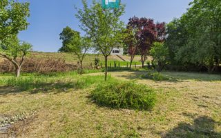 Căsuță de vacanță – cu POTENȚIAL DE INVESTIȚIE - Poză 3