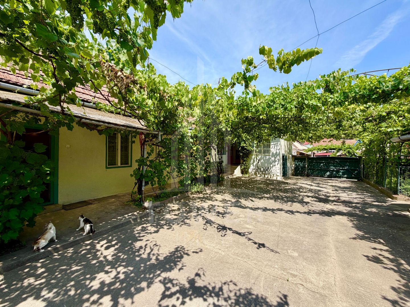 Casă de vânzare-teren 2.300 mp| Ocna Sibiului - Poză 4
