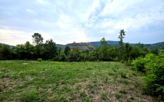 Teren Intravilan, utilitati in zona, 2600 mp, Draganeasa, Prahova - Poză 3