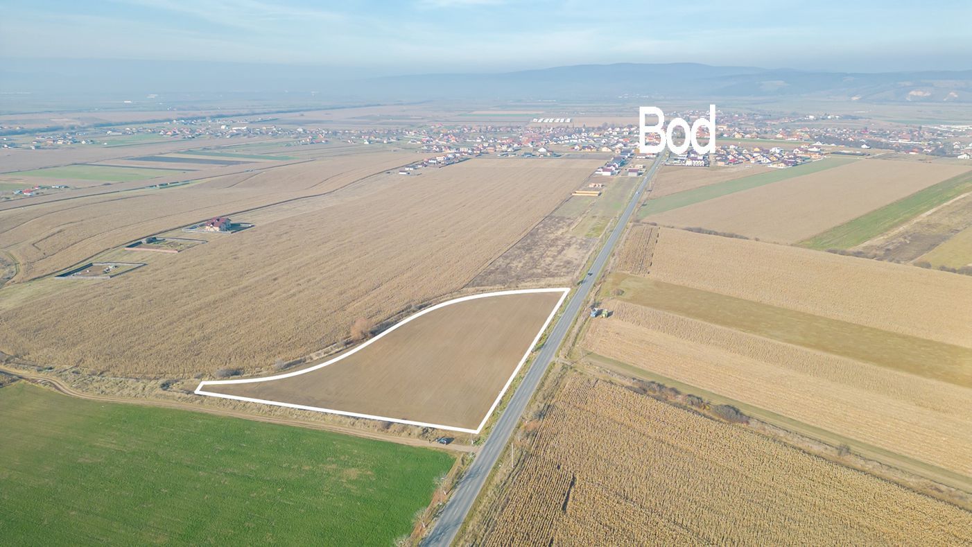 Teren pretabil pentru activitate comerciala - Poză 6