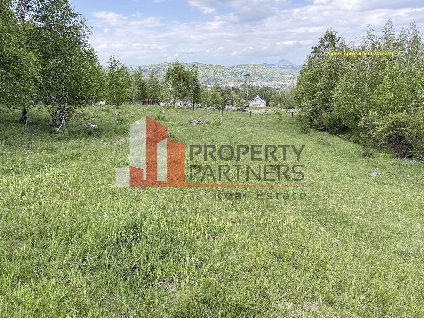 Teren intravilan 5.261 mp Tohănița | Deschidere 49 m | Utilități, lângă pădure - Poză 7