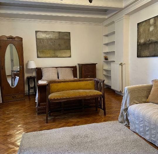 Apartament Cismigiu - Poză 6