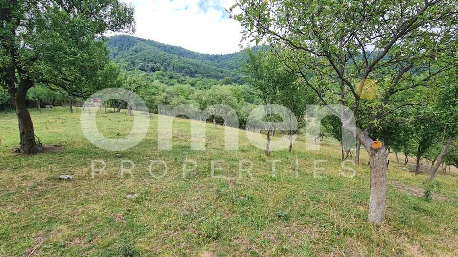 Teren de vânzare | Suprafață 10.040 mp | 2.500 € / ar | Strada Nucului - Poză 5