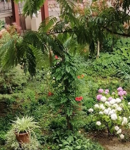 Iosefin-16 Decembrie | 2 Camere | Boxa + Garaj | Mobilat si Utilat. - Poză 16