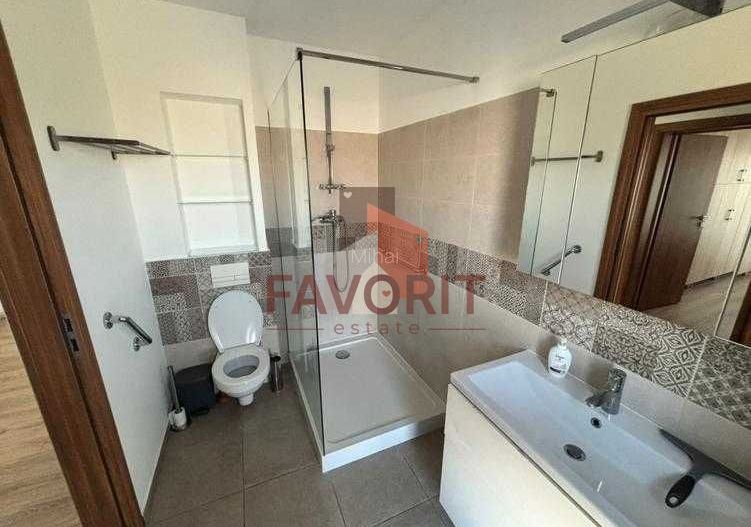 Curte proprie. Zona linistita . Mobilat si utilat - Poză 6