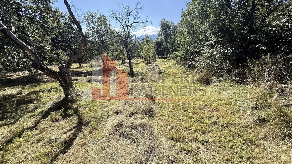 Teren 4558 mp cu casă tradițională, Sohodol, Bran - Poză 10