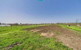 Casă cu Grădină Mare la 30 km de Timișoara - Poză 25