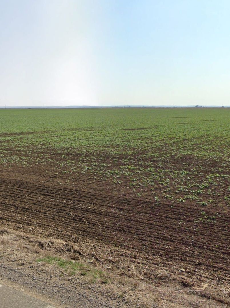 Teren 13700 mp Extravilan Livada de Bihor - Poză 4