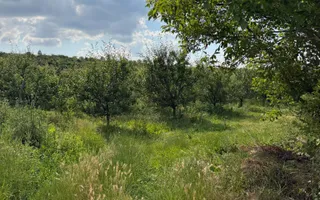 Activ agricol integrat | 67,5 ha | Oportunitate investițională - Poză 16