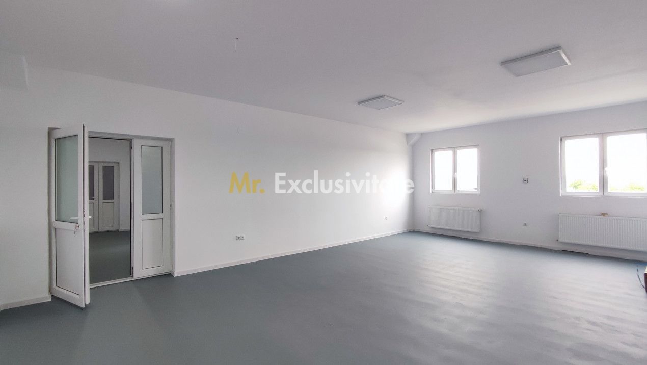 Inchiriere Spații de Birouri/Producție - Str. Uzinei - Carei - Comision 0% - Poză 3