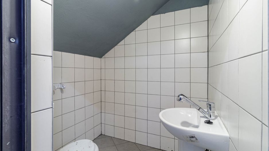 Hala / Spatiu Productie / Rezidential - Vedere catre lac - Poză 10