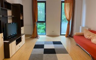 Apartament cu 1 camera centrala proprie situat in zona Braytim - Poză 1
