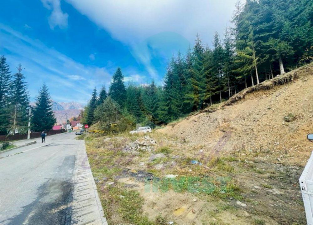 Teren 343 mp ideal cabana in Azuga - Poză 6