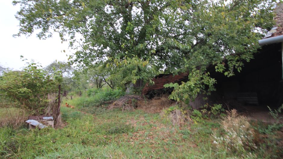 Teren de vânzare - 1900 mp Dumbravita - Poză 5