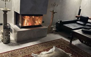 Vilă de Lux cu Piscină, Visan – 4 Camere, 850 mp Teren - Poză 4