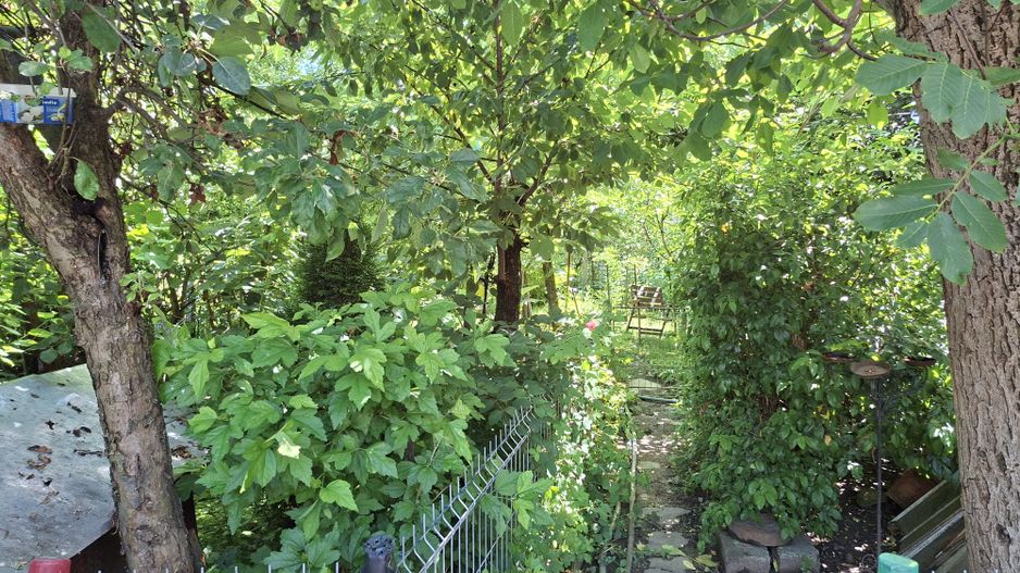 BRASADAS vinde casa individuala 4 cam 4.1 ari Semicentral. - Poză 9